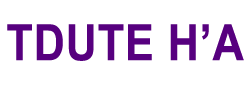 Tdute Ha Logo